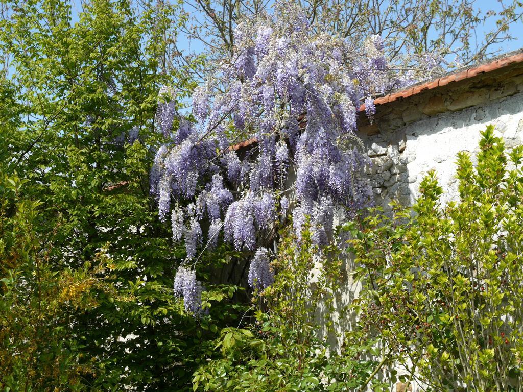 Gîtes de la Grande Ferme Avernes Habitación foto